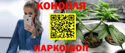 гидропоника Балашиха