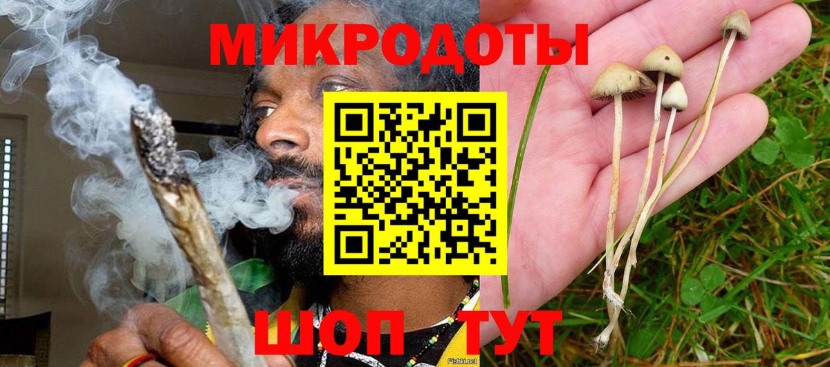 цены наркотик  Галлюциногенные грибы MAGIC MUSHROOMS  Вход с VPN  Гуково 